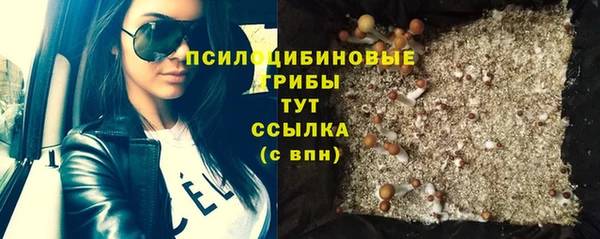 jwh Алзамай