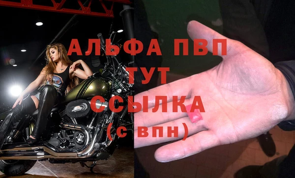 jwh Алзамай
