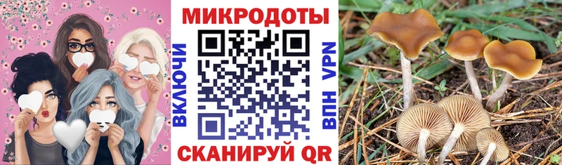 OMG   Сухиничи  Псилоцибиновые грибы ЛСД 